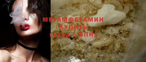 индика Дмитров