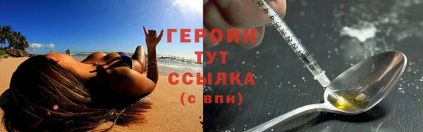 индика Дмитров