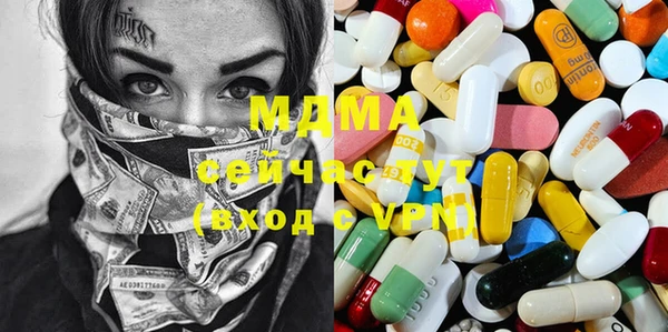 индика Дмитров