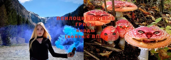 прущие крисы Дмитриев
