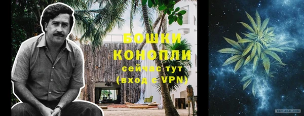 прущие крисы Дмитриев