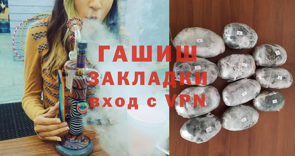 индика Дмитров
