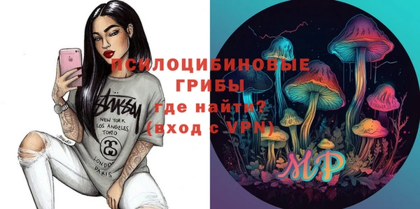 Альфа ПВП Гусев