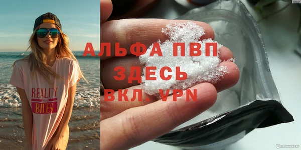 индика Дмитров