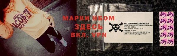 индика Дмитров