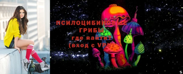 Альфа ПВП Гусев